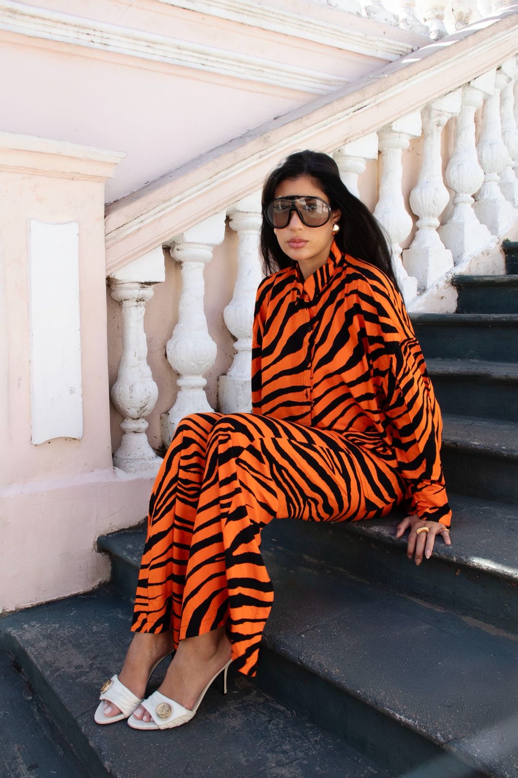 CONJUNTO SOLAR TIGRE